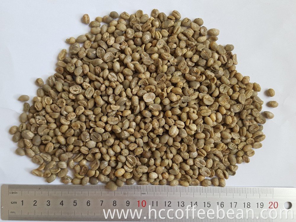 Chinese arabica green coffee beans,new crop,polished grade B,screen 13-15